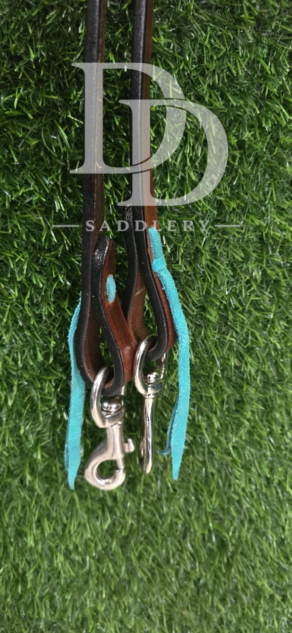 REINS 5